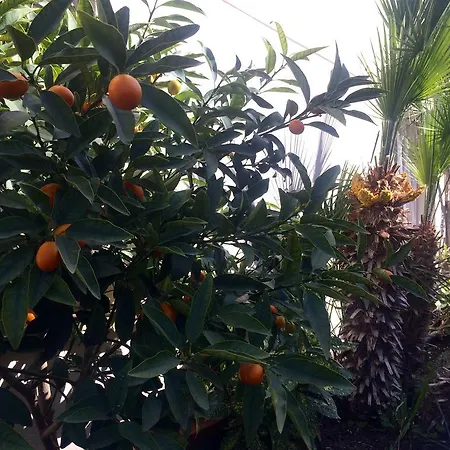 Appartamento Conchi *